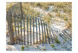 Sea Oats III