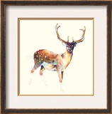 Deer Wearing Gym Socks