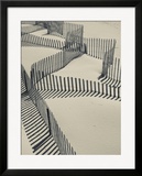 New York  Long Island  the Hamptons  Westhampton Beach  Beach Erosion Fence  USA