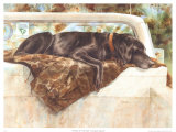 Pushed to the Limit (Black Lab)