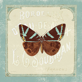 Parisian Butterfly II