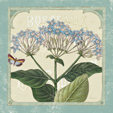 Parisian Flower I