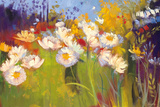 Contemporary Meadow