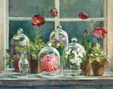 Purple Poppies Windowsill