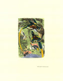 Tropical Birds II