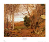 Autumn Landscape