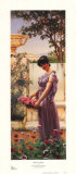 Flowers of Venus