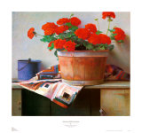 Americana Red Geraniums