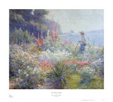 Mrs Mayer's Garden