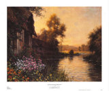 Summer Evening Beaumont