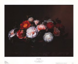 Camellias
