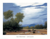 Palo Verde Wash