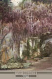 Whysteria Pergola