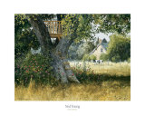 Meadow Hideaway