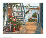 Blue Stair and Begonias  1987