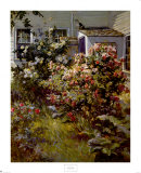 Backyard Garden