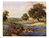 Blue Bonnet Time
