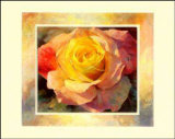 Flower I