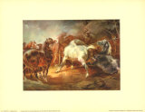 Fighting Horses