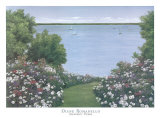 Summer Vista