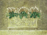 Planter with Three Cyclamen