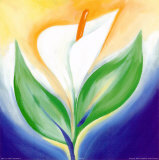 Blooming Lily
