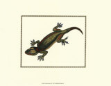 Gecko Lizard