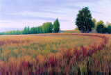 Sauvie Island I
