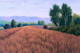 Sauvie Island II