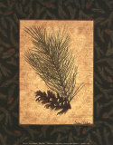 White Pine