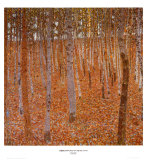 Beechwood Forest  1903