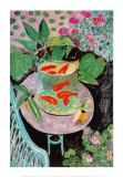 Goldfish
