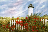 Lighthouse Scene