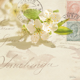 Vintage Letter and Apple Blossoms