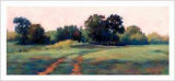 Tree Study