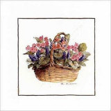 Pink Primroses