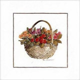 Primroses Assortment