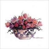 Crocus II