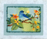 Bluebird