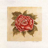 Ruby Peony