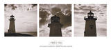 Safe Harbor