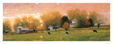 Fall Pasture