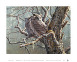 Silent Forest (Great Horned Owls)