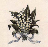 Dogwood