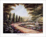 View of the Valley II