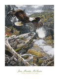 Rocky Mountain High (detail)