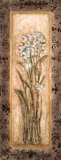 Paperwhites II