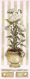Queen Anne's Lace