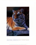 Bengal Tiger
