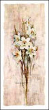 Daffodils